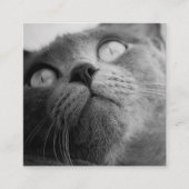 Moderne Eenvoudige Pet Sitter Hond Walker Vierkante Visitekaartje (Voorkant)