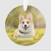 Moderne Eenvoudige Stijlvolle Gepersonaliseerde Fo Ornament (voorkant)