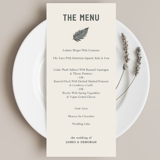Moderne Eenvoudige Varen Botanische Illustratie Br Menu