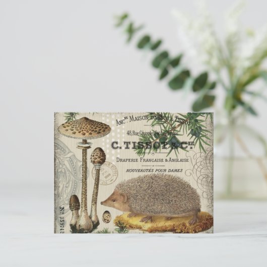 moderne egel briefkaart (Staand voorkant)