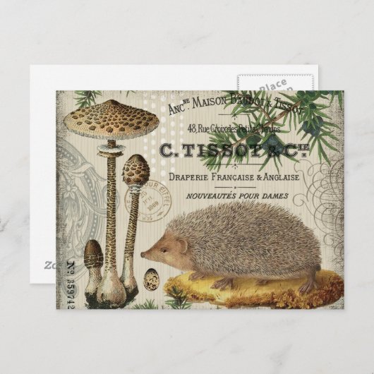 moderne egel briefkaart (Voorkant / Achterkant)