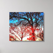 Moderne eiken Bomen Foto Canvas Print (Voorkant)