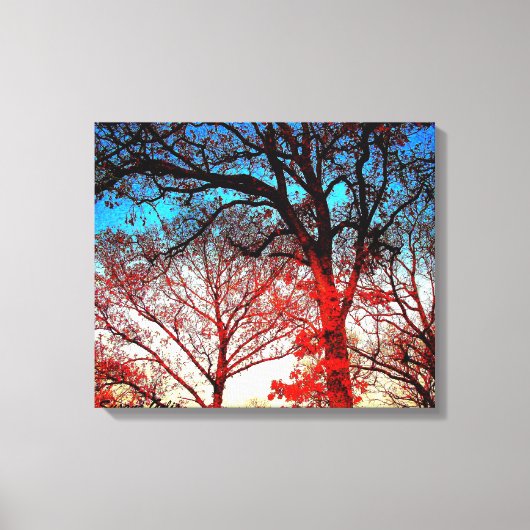 Moderne eiken Bomen Foto Canvas Print (Voorkant)