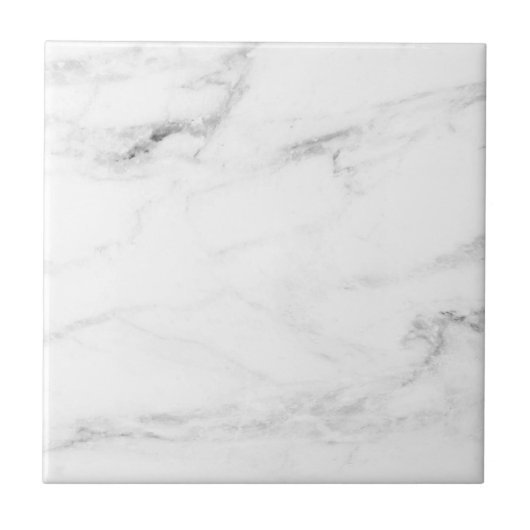 Moderne Elegant White Marble Professional Sjabloon Tegeltje (Voorkant)