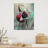 Moderne elegante Abstracte Roos hip macro Poster (Keuken)