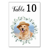 Moderne Elegante Eucalyptus Foto Bruiloft Kaart (Achterkant)