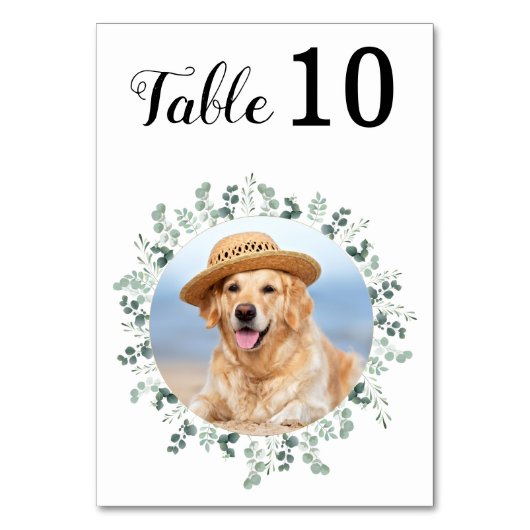 Moderne Elegante Eucalyptus Foto Bruiloft Kaart (Voorkant)