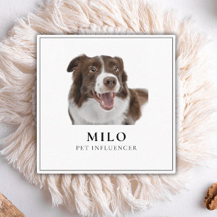 Moderne Elegante Foto Hond Huisdier Social Media Q Vierkante Visitekaartje