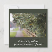 Moderne, Elegante Glanzende Groene Naalden Groen Feestdagenkaart (Voorkant)