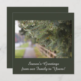 Moderne, Elegante Glanzende Groene Naalden Groen Feestdagenkaart