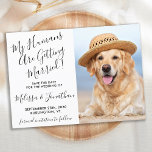 Moderne Elegante Huwelijksfoto Gepersonaliseerde H Save The Date<br><div class="desc">Laat je beste hond je bruiloft aankondigen met deze super schattige 'Mijn mensen worden getrouwd'-gezelschapshond, sparen de datumkaarten. Pas met uw favoriete foto aan, en personaliseer met namen, datum, en trouwplaats. COPYRIGHT © 2020 Judy Burrows, Black Dog Art - Alle rechten voorbehouden. Moderne foto Persoonlijk foto Dog Weddenschap met foto's...</div>
