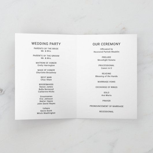 Moderne elegante klassieke minimalist programma (Binnen)