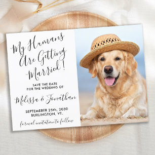 Moderne Elegante Trouwfoto Persoonlijke Hond  Save The Date