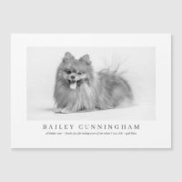 Moderne en eenvoudige foto-Bedankt Vet verpleegkun