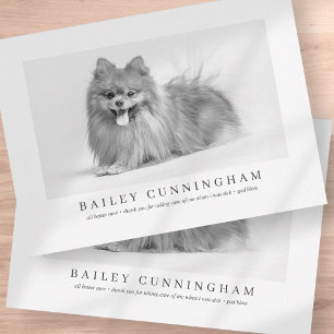 Moderne en eenvoudige foto-Bedankt Vet verpleegkun Bedankkaart