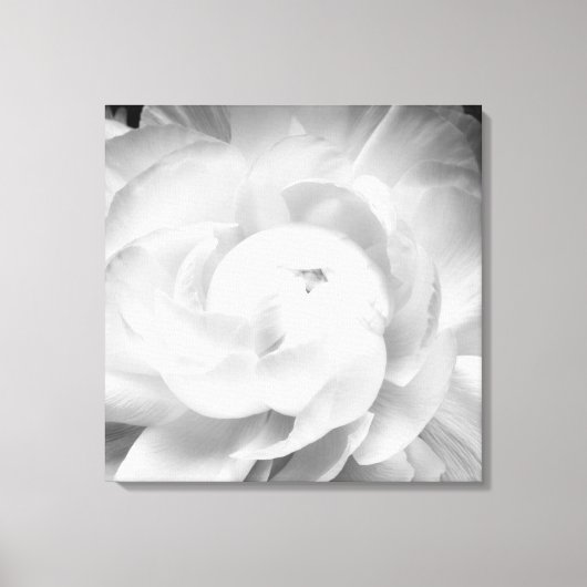 Moderne en Minimale Bloemen Zwart-wit Bloem Canvas Afdruk (Voorkant)