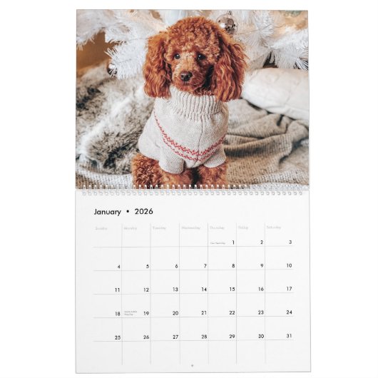 Moderne familie monogram naam blauwgroen 17 foto's kalender (Jan 2026)