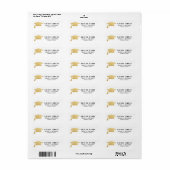 Moderne Faux Gold Foil Afstuderen Pet Eenvoudig Ca Etiket (Full Sheet)