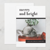 Moderne Feestelijke Hond / Franse Bulldog / Pet Lo Feestdagenkaart (Voorkant / Achterkant)