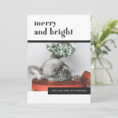 Moderne Feestelijke Hond / Franse Bulldog / Pet Lo Feestdagenkaart (Staand voorkant)