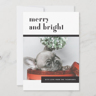 Moderne Feestelijke Hond / Franse Bulldog / Pet Lo Feestdagenkaart