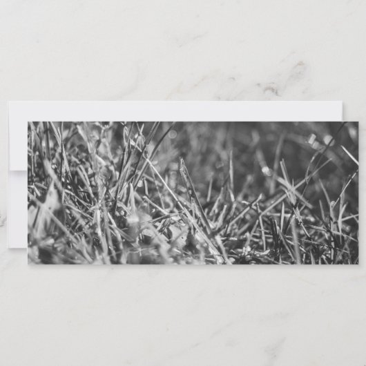 Moderne Field Wedding Uitnodiging (Achterkant)