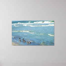 Moderne Florida Shorebirds Ocean Foto Canvas Afdruk