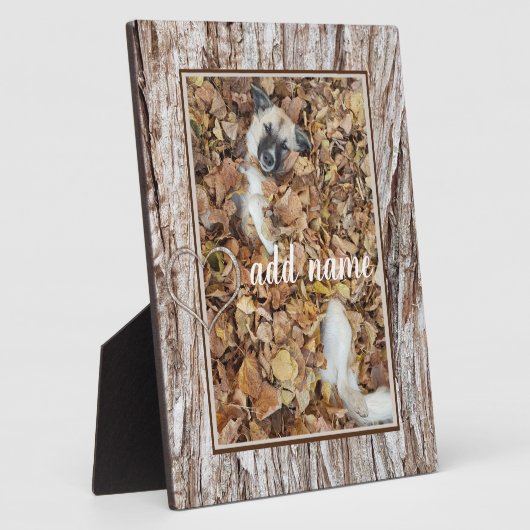 moderne foto-collage hond grappig fotoplaat (Zijkant)