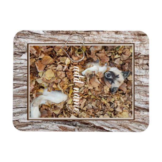 moderne foto-collage hond grappig magneet (Horizontaal)