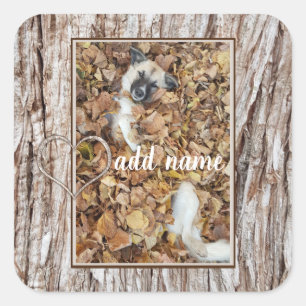 moderne foto-collage hond grappig vierkante sticker