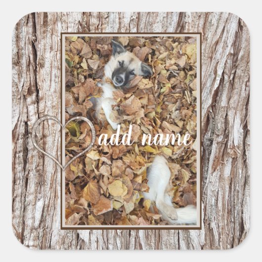 moderne foto-collage hond grappig vierkante sticker (Voorkant)