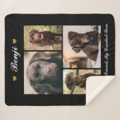 Moderne foto collage Milestone Keepomwille Dogs Ca Sherpa Deken (Voorkant (horizontaal))