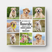 Moderne foto collage van 8 foto's ter nagedachteni fotoplaat (Voorkant)