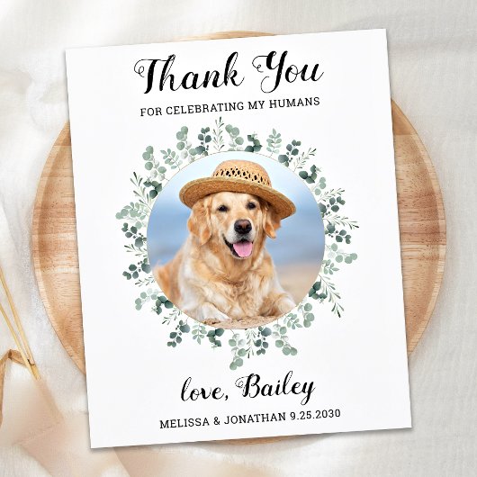 Moderne foto Eucalyptus Dog Weddenschap Bedankt Briefkaart