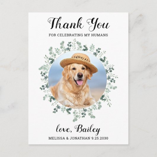 Moderne foto Eucalyptus Dog Weddenschap Bedankt Briefkaart