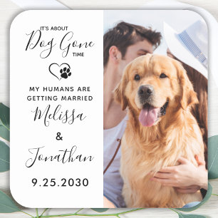 Moderne foto Funny Pet Wedding Dog bespaart datum Vierkante Sticker