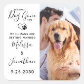 Moderne foto Funny Pet Wedding Dog bespaart datum Vierkante Sticker (Voorkant)