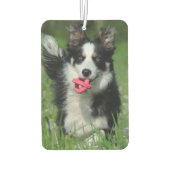 Moderne foto hond huisdier herdenkingsfoto luchtverfrisser (Achterkant)