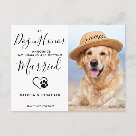 Moderne foto hond van eer trouwfeest hond verlovin aankondigingskaart (Voorkant)
