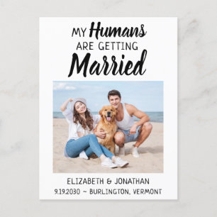 Moderne foto-hondenweddenschap bespaart de datum aankondigingskaart