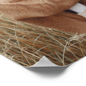 Moderne foto monogram familie zwart-wit poster (Hoek)