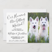 Moderne foto Persoonlijke honden Foto Pet Wedding Save The Date (Voorkant)