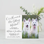 Moderne foto Persoonlijke honden Foto Pet Wedding Save The Date (Staand voorkant)