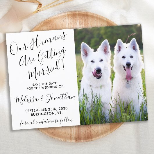 Moderne foto Persoonlijke honden Foto Pet Wedding Save The Date