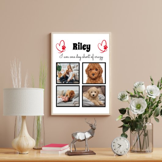 Moderne foto van 4 honden - gepersonaliseerd colla poster