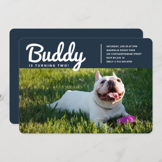 Moderne foto van Pet Puppy Dog op maat Kaart (Voorkant / Achterkant)