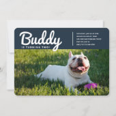 Moderne foto van Pet Puppy Dog op maat Kaart (Voorkant)