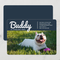 Moderne foto van Pet Puppy Dog op maat