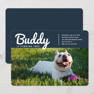 Moderne foto van Pet Puppy Dog op maat Kaart