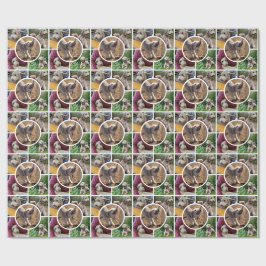 Moderne fotocollage cadeaupapier (Vlak)